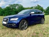 Audi SQ5: Estorilblau, ACC, Spur, AHK, Pano, Standh