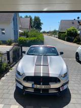 Ford Mustang 2.3 EcoBoost Auto,Cabrio Schelby Optik - gebrauchte Ford Mustang aus dem Jahr 2016