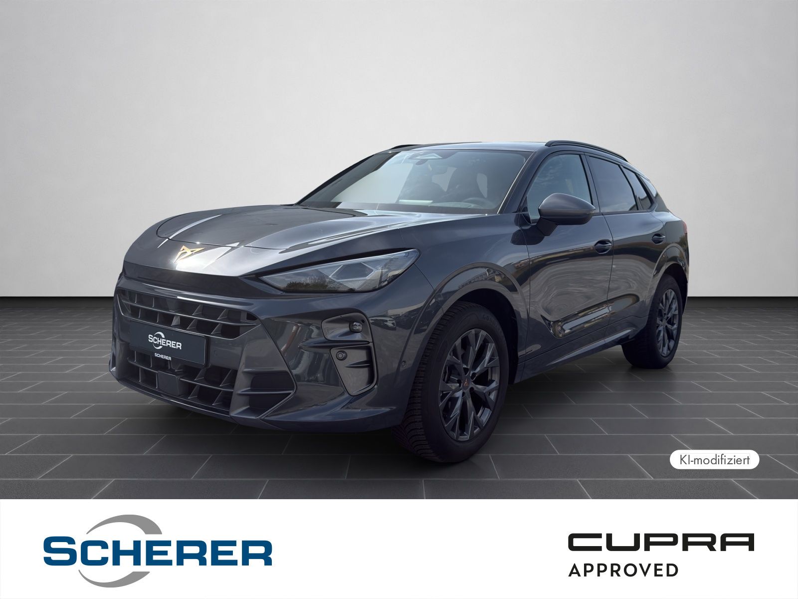 Cupra Terramar 1.5 eTSI DSG 5J-Garantie Sennheiser Mat