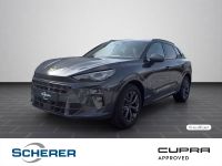 Cupra Terramar - Vorschau Bild 1