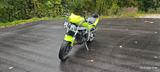 Triumph Speed Triple 955i 595RPT komplett LED Umbau  - TRIUMPH SPEED TRIPLE 955I