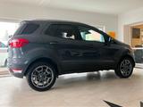 Ford EcoSport 1.0 EcoBoost Titanium Leder Kamera - Ford EcoSport 1.0 Gebrauchtwagen