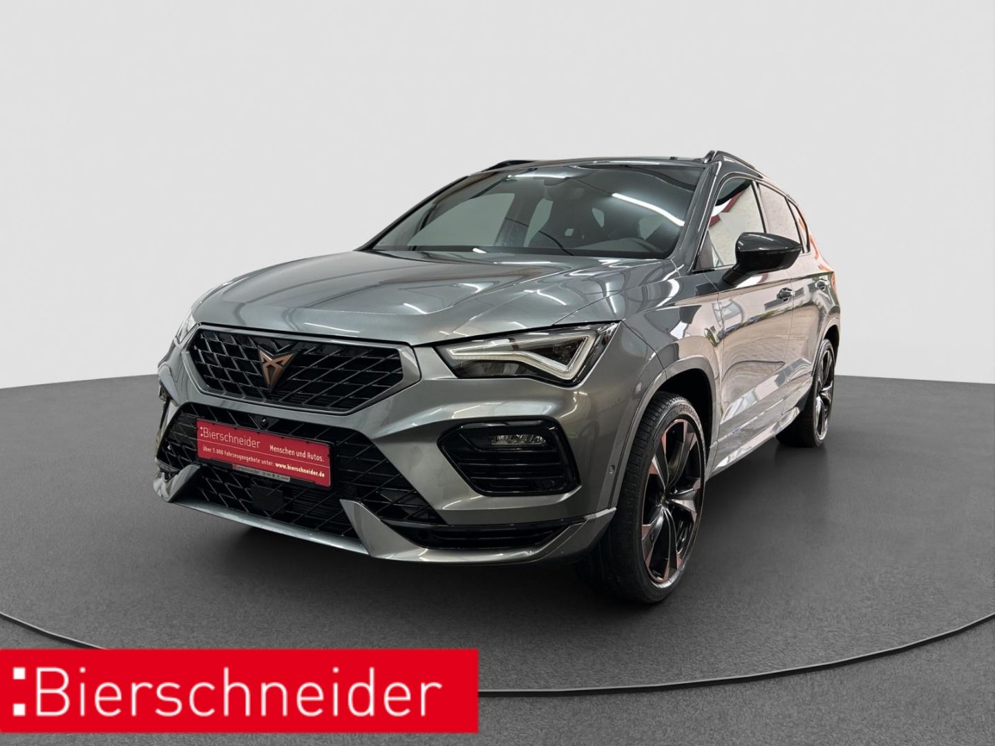 Cupra Ateca 2.0 TSI DSG 4Dr. VZ ab 351,- + 990,- Anz. 