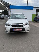 Subaru Forester Comfort/Wenig Km/1.Hand/Wie Neu!! - Subaru in Stuttgart