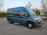 Fiat Ducato Luxusbus Panorama Modular 33 L2H2 9-Sitze - Fiat Ducato: Luxusbus