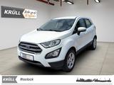 Ford EcoSport Cool & Connect+Winter-Paket+Allwetter - Ford EcoSport aus 2021