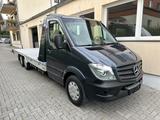Algema Sprinter II 3.0 V6 Aut. Algema XL Blitzlader R - Angebote