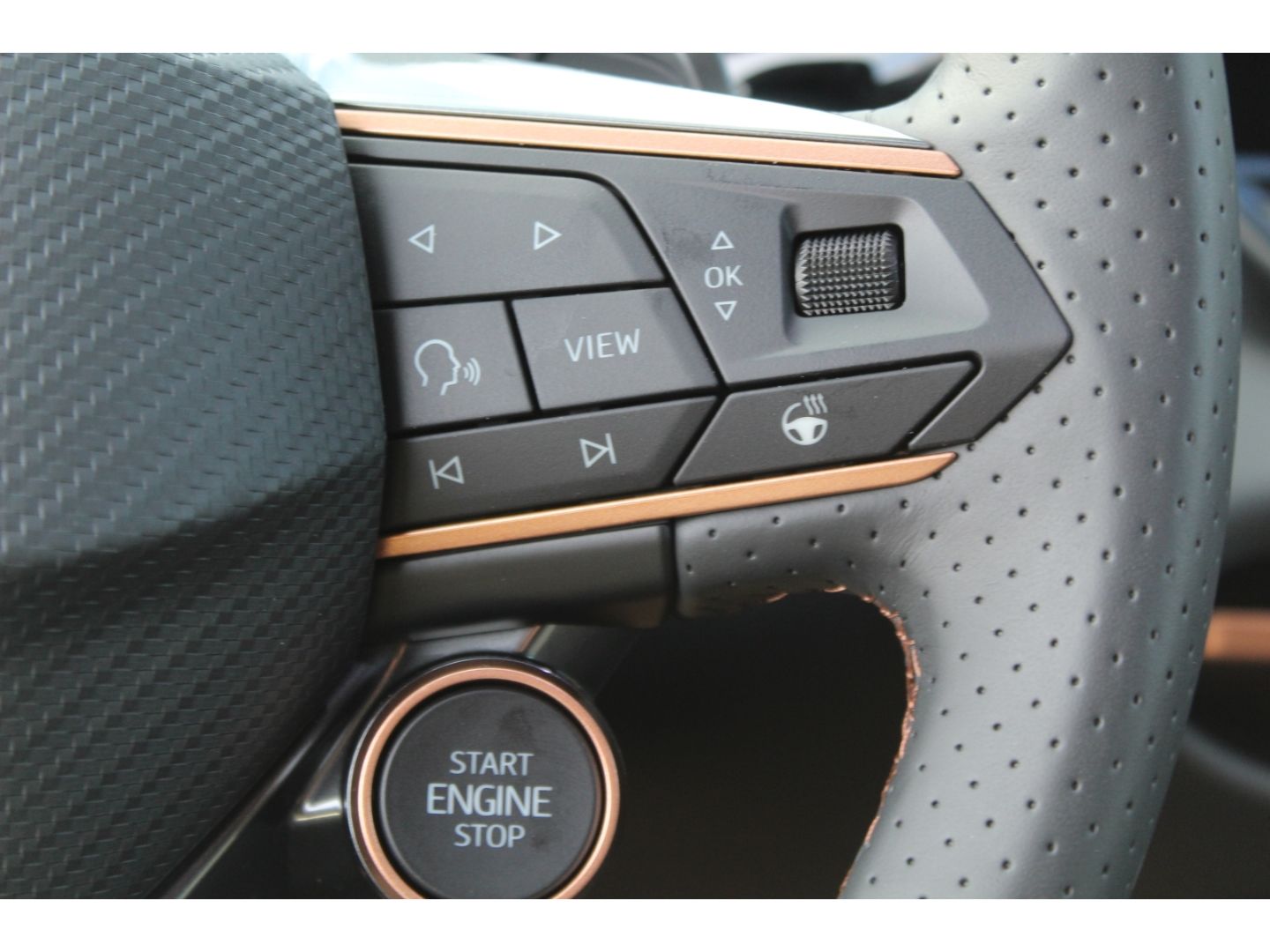 Cupra Terramar - Bild 10