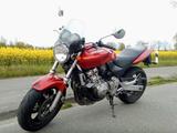 Honda Hornet CB 600 F - Offers