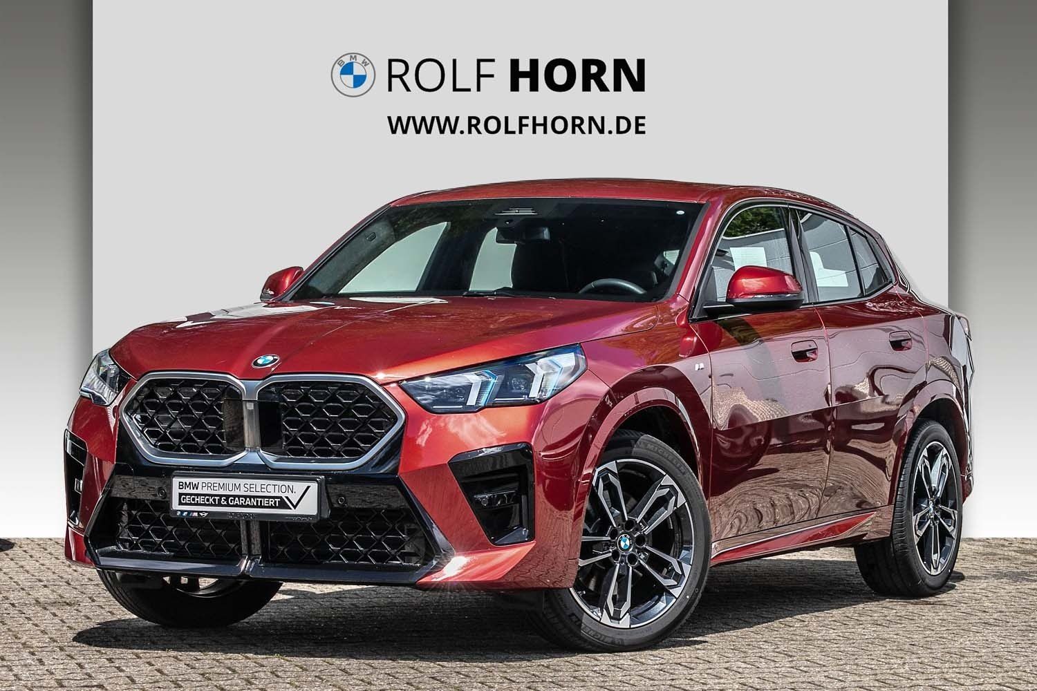 BMW X2 sDrive20i M Sportpaket Navi adLED RfKam Klima