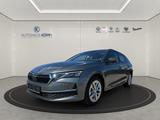 Skoda Octavia Combi 1.5 TSI Selection_Pano_AHK_Leder - Skoda Octavia aus 2024