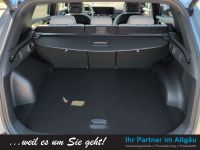 Kia Sportage - Vorschau Bild 15