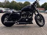 Harley-Davidson Iron 883/1200 - HARLEY-DAVIDSON 883 1200