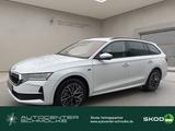 Skoda OCTAVIA COMBI TOUR 2.0 TDI DSG SHZ*RFK*SMARTLINK - Skoda Octavia Neuwagen in Bremen