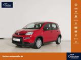 Fiat Panda 1.0 GSE Hybrid - gebrauchte Fiat Panda aus dem Jahr 2024