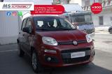 Fiat FIAT Panda 0.9 TwinAir Turbo Natural Power Easy  - Fiat Panda mit CNG-Antrieb
