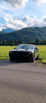 Andere Dodge Challenger SXT Plus Pitch Black Edition - Andere mit Benzin-Antrieb: Coupe