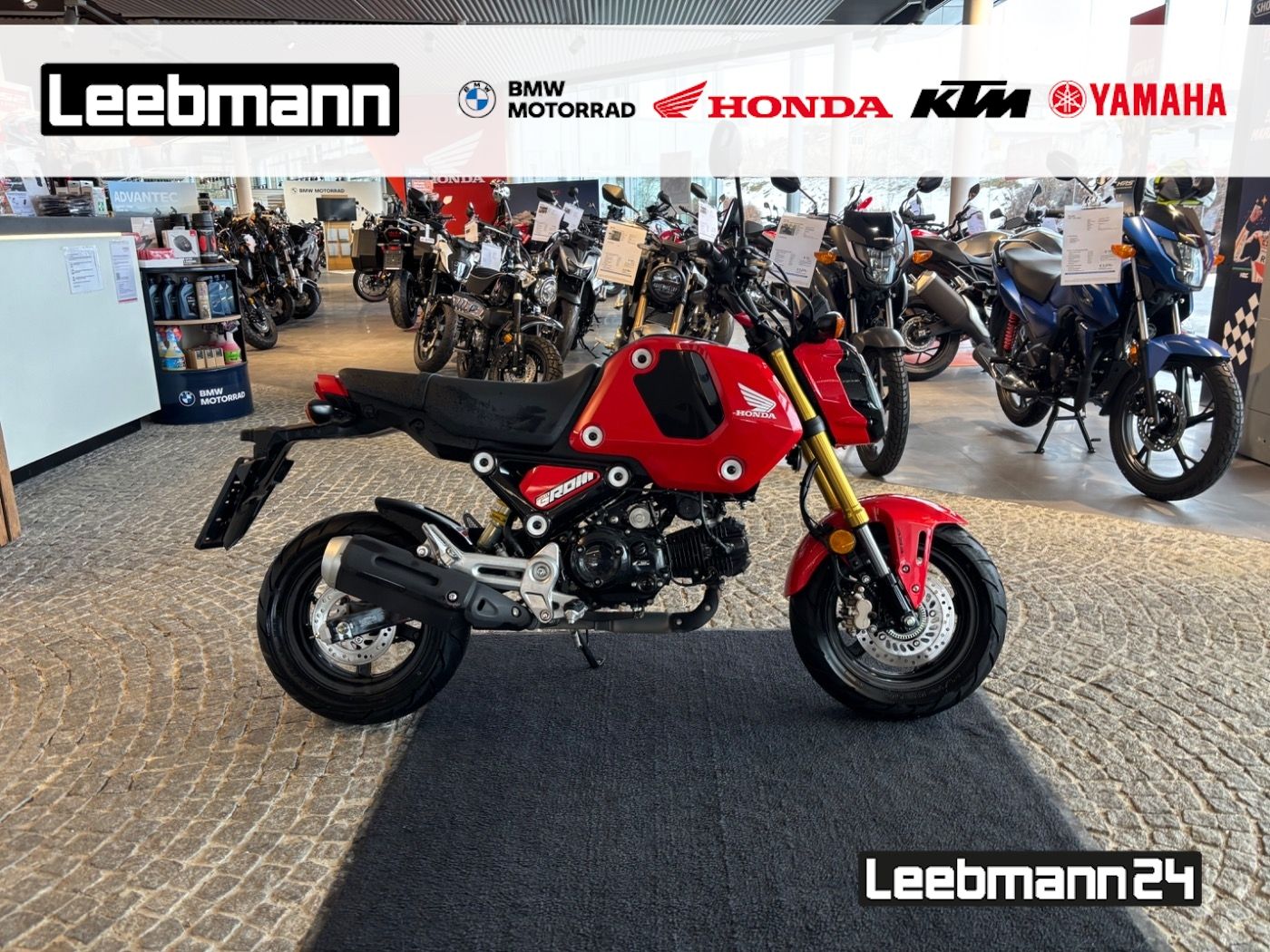 Fahrzeugabbildung Honda MSX 125 Grom