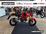 Honda MSX 125 Grom - HONDA MSX