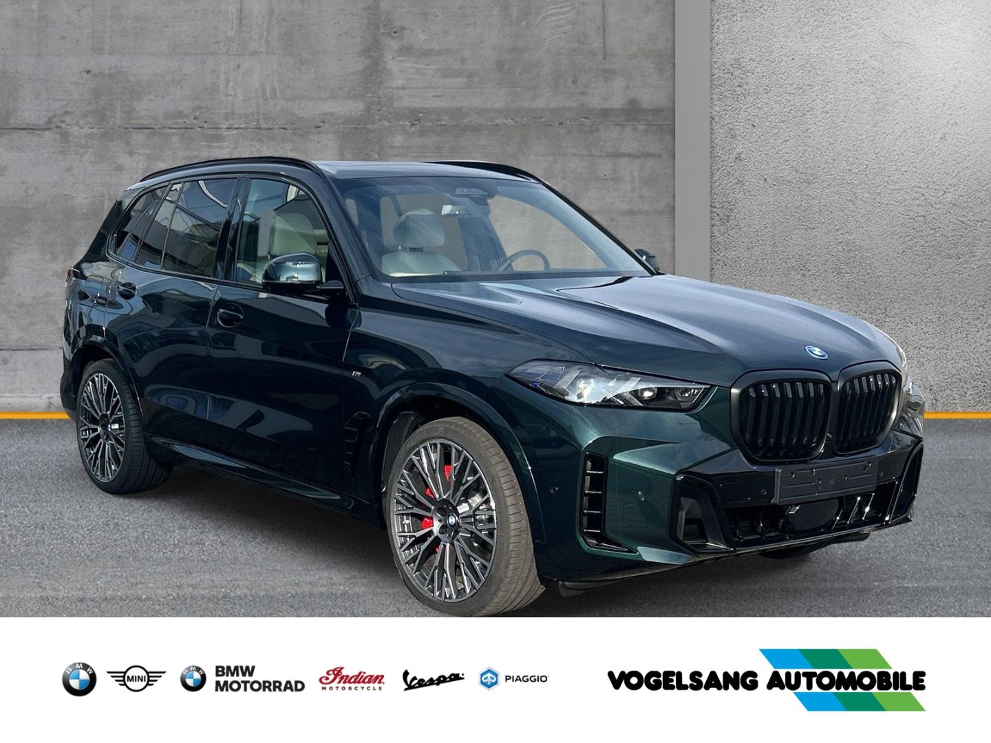 Fahrzeugabbildung BMW X5 xDrive50e M Sport Pro Park-Assistent Pano AHK