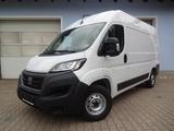 Fiat Ducato Hochr.-Kasten 120 L2H2, 18.059.-€ Netto - Fiat Ducato: 18