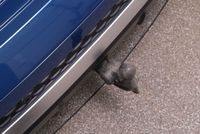 Audi SQ7 - Vorschau Bild 18