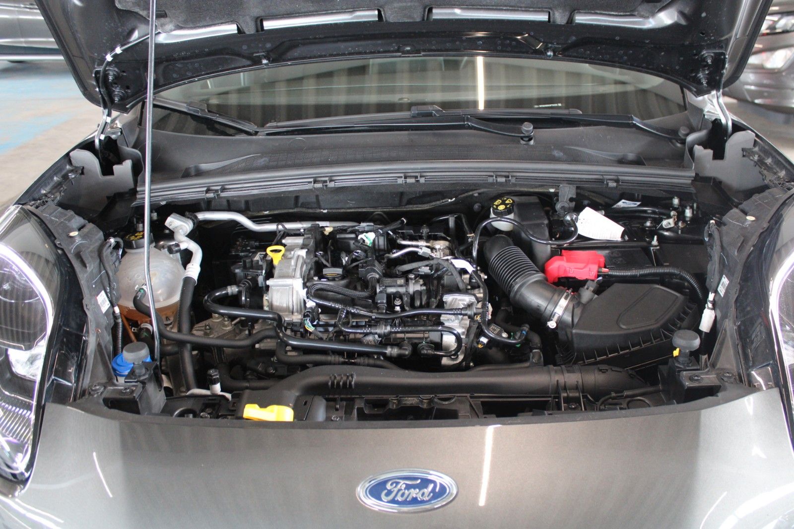 Fahrzeugabbildung Ford Puma MHEV ST-Line LED NAVI Winter Paket PDC 1.Hd