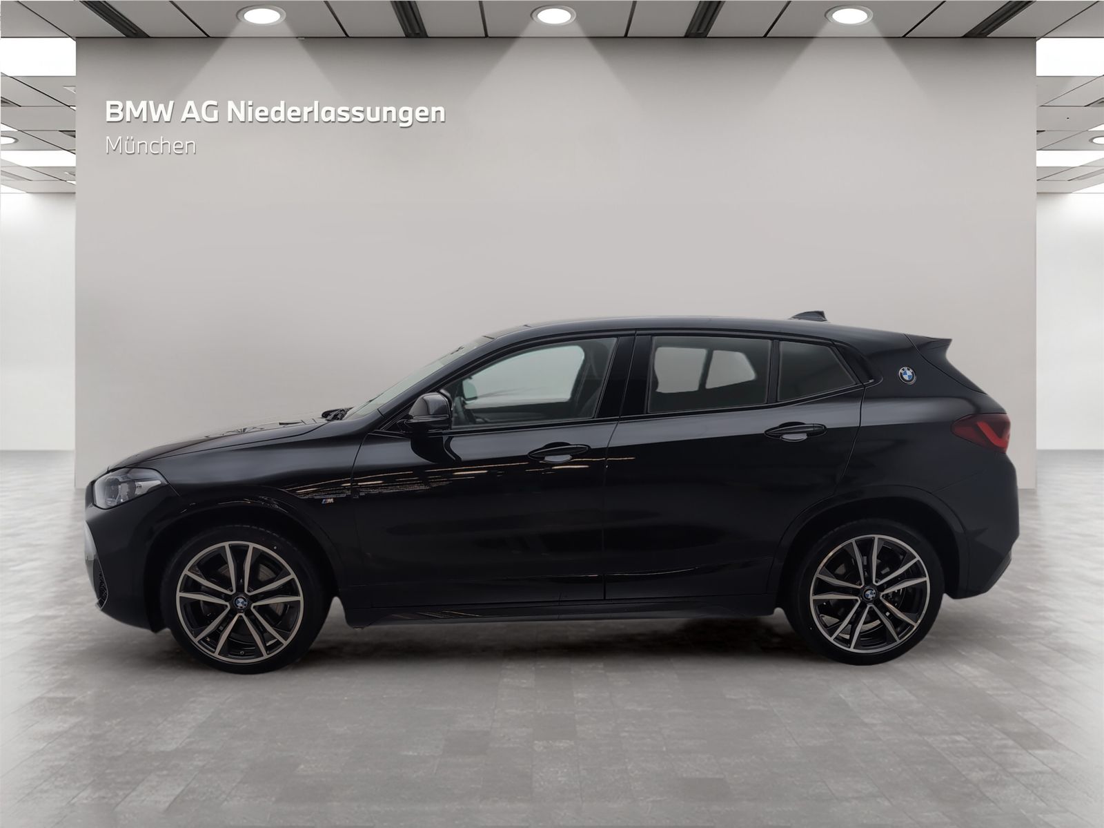 BMW X2 xDrive20i M Sport Navi Harman K Kamera LED foto 2