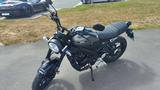 Yamaha XSR 125 Lunar Grey ! 2025er Modell !