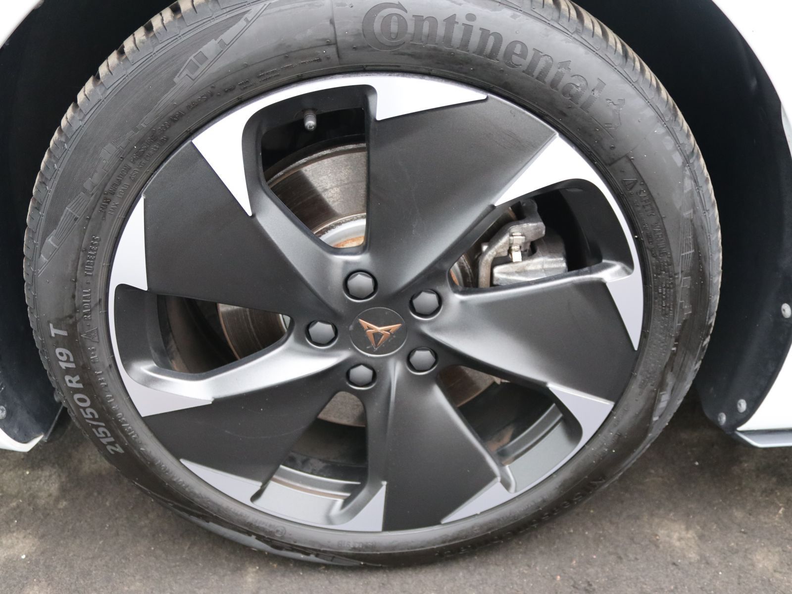 Cupra Born - Bild 18