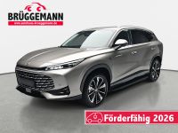 MG HS - Vorschau Bild 1