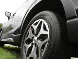 Subaru Forester 2.0ie Mild-Hybrid Comfort Navi ACC - Subaru Forester mit Benzin-Antrieb: Automatik