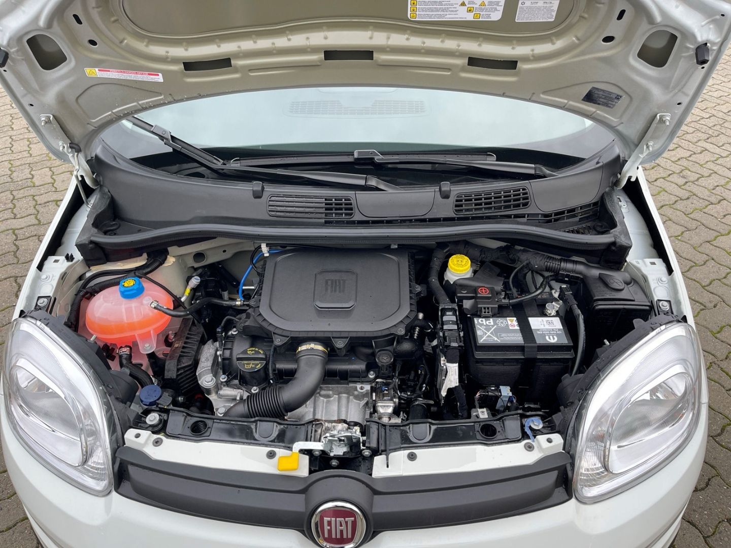 Fiat Panda - Bild 14