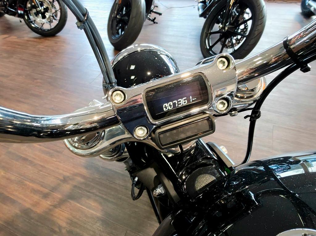 Harley-Davidson Softail Standard 
