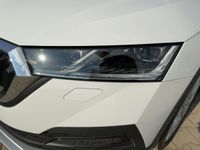 Skoda Octavia - Vorschau Bild 22