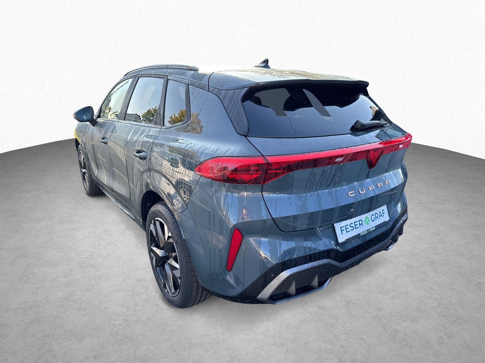 Cupra Terramar - Bild 4