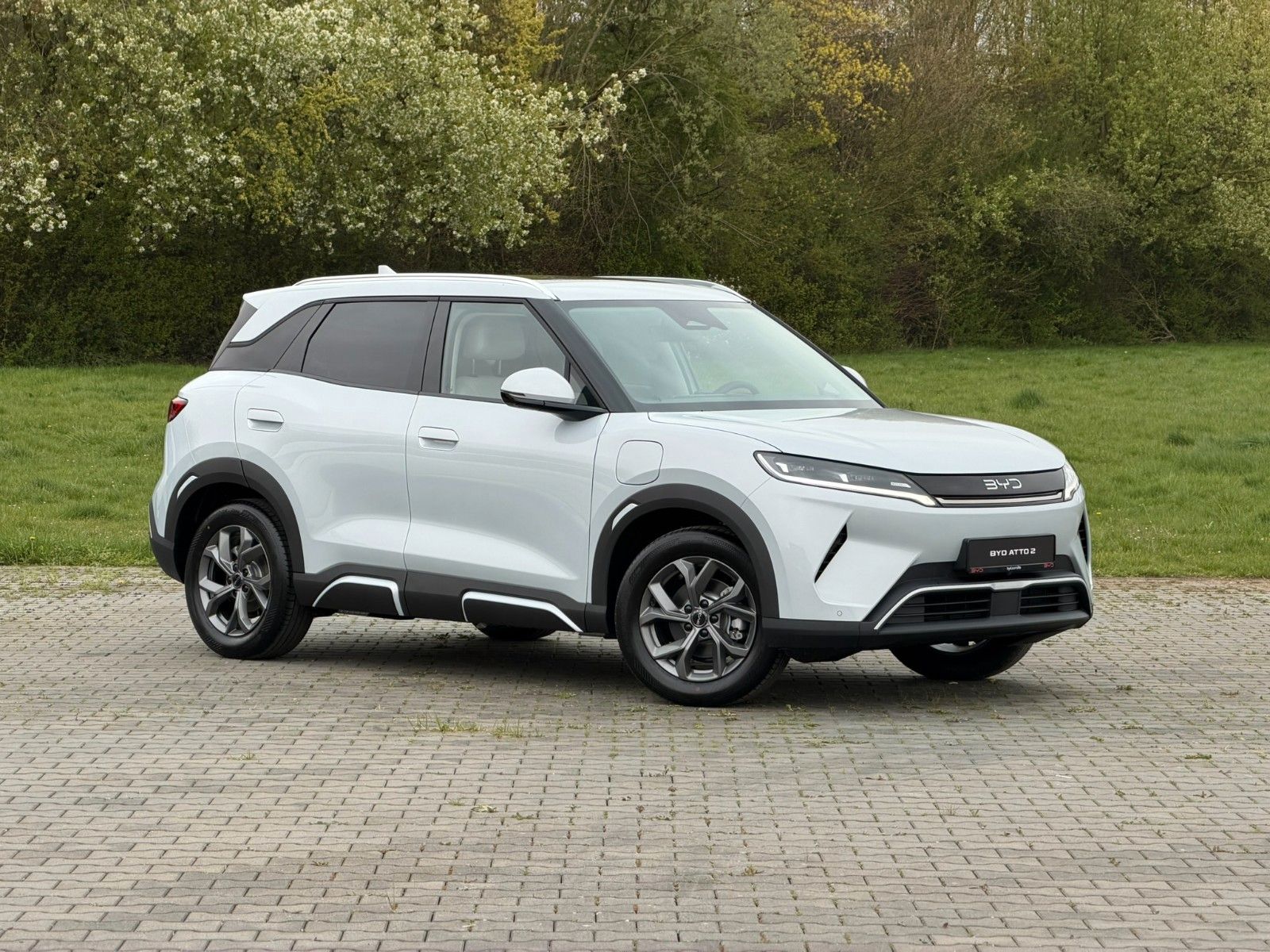 BYD ATTO 2 Comfort - Tageszulassung imagem 3