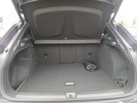 Cupra Terramar - Vorschau Bild 18