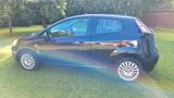 Fiat Punto Evo 1.4 8V Active  - Fiat Punto Evo: Active