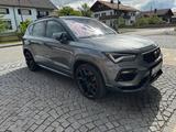 Cupra Ateca, 360Grad, neue Bremsen ! Neue Inspektion - Cupra Ateca von privat