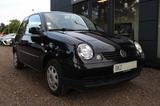 Volkswagen Lupo 1.4 44kW College*TÜV & Service NEU* - Volkswagen Lupo mit Benzin-Antrieb: 1.4