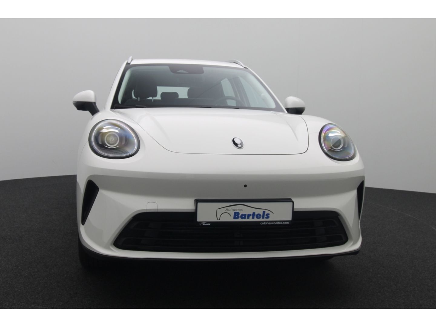 Fahrzeugabbildung GWM ORA 5 1.5 Turbo 7-Gang DCT Premium 360 Kamera AC