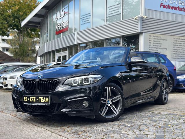 BMW 220 i M Sport Cabrio Automatik Pdc Led Navi Lede