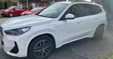 BMW X1 xDrive25e | Drive Asst Pro|Park Asst|Msport