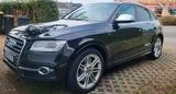 Audi SQ5 3,0 Diesel ,Panorama Dach - Audi SQ5: Panorama Dach