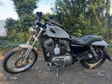 Harley-Davidson Sportster XL 1200 C - Offers matching your search criteria