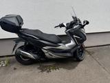 Honda Forza 300 NF08 - HONDA FORZA 300