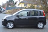 Fiat Panda Urban-KLIMA-PDC-TOP ZUSTAND - Fiat Panda Gebrauchtwagen in Wuppertal