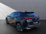 Lexus UX 250h Style SHZ Kamera Alu - Lexus aus 2021