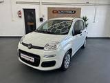 Fiat Panda Pop 1.2 8V - Fiat Panda: Weiß